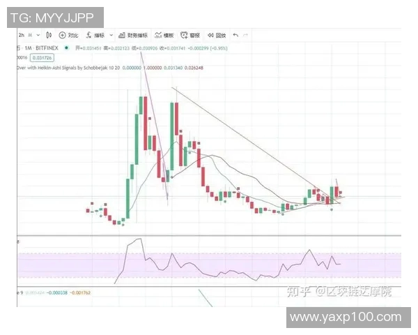 赛后分析：上海网球队与南京网球队的团队协作与战术对比探讨