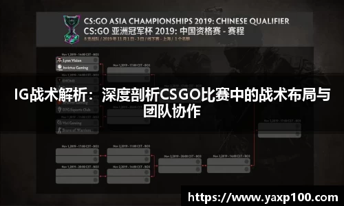 VSport胜利因您更精彩